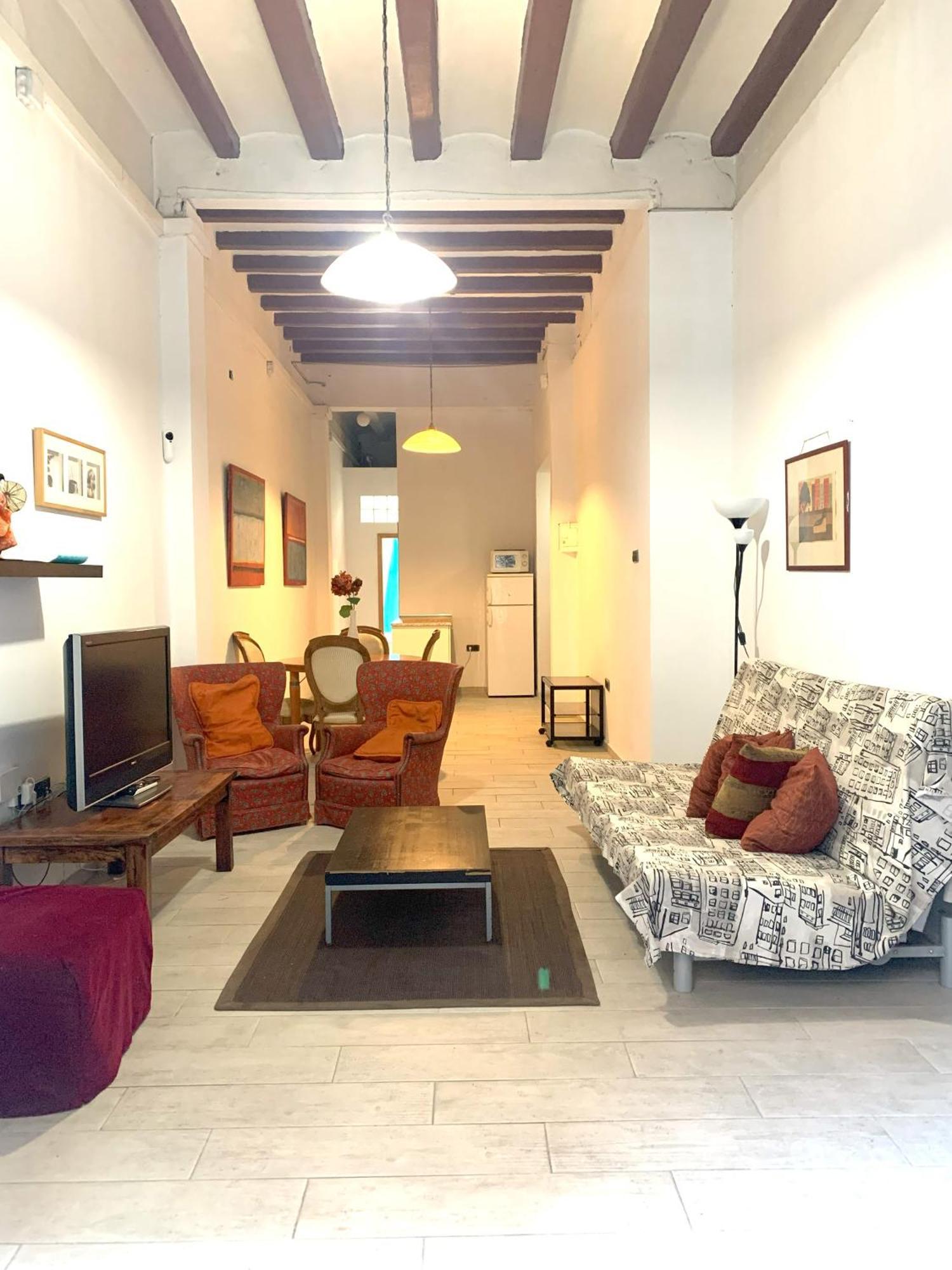 Parallel-patio Apartment Barcelona